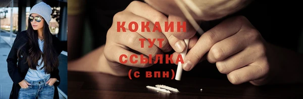 спайс Няндома