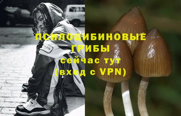 кристаллы Нязепетровск