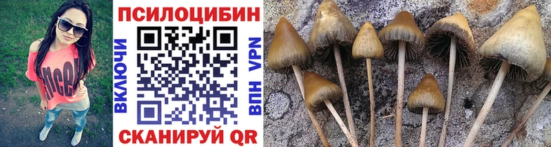 Галлюциногенные грибы прущие грибы  дарнет шоп  Воронеж 